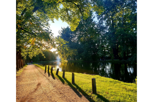 POZNAJEMY NAJBLIŻSZĄ OKOLICĘ