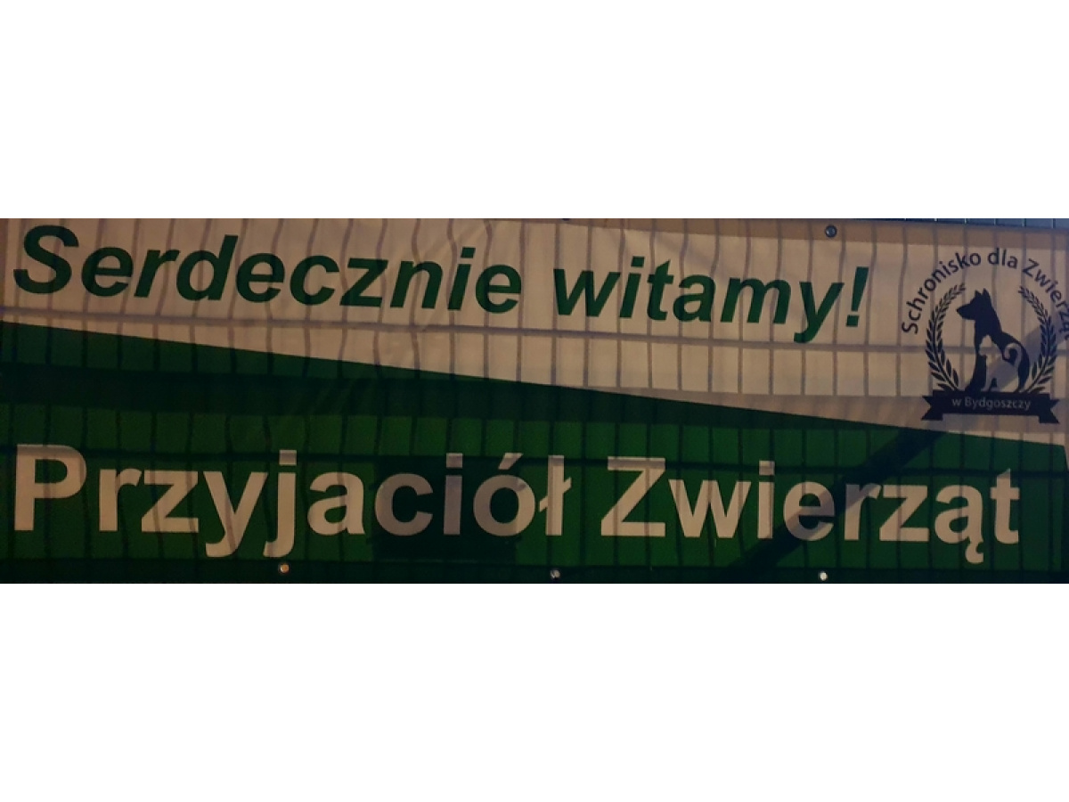 SPACER DO SCHRONISKA DLA ZWIERZĄT