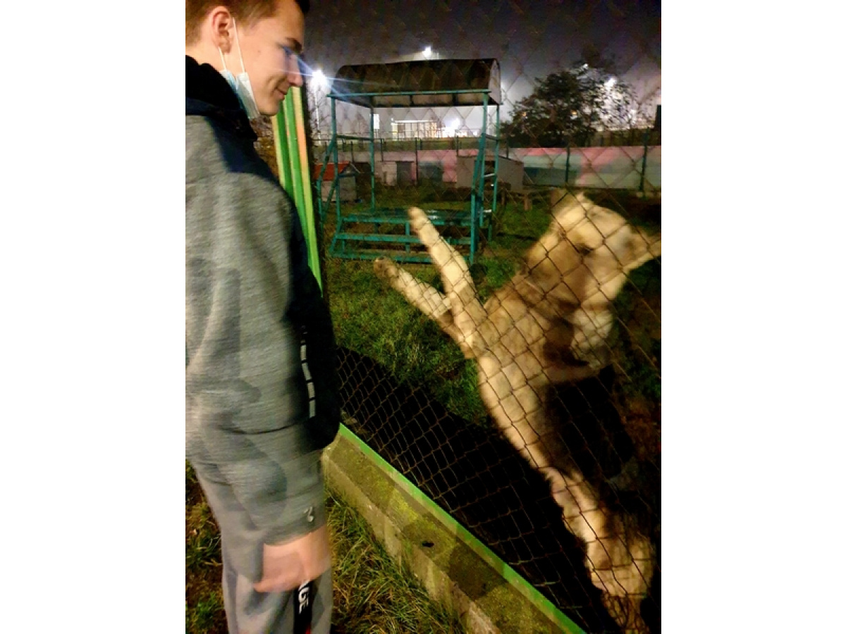 SPACER DO SCHRONISKA DLA ZWIERZĄT