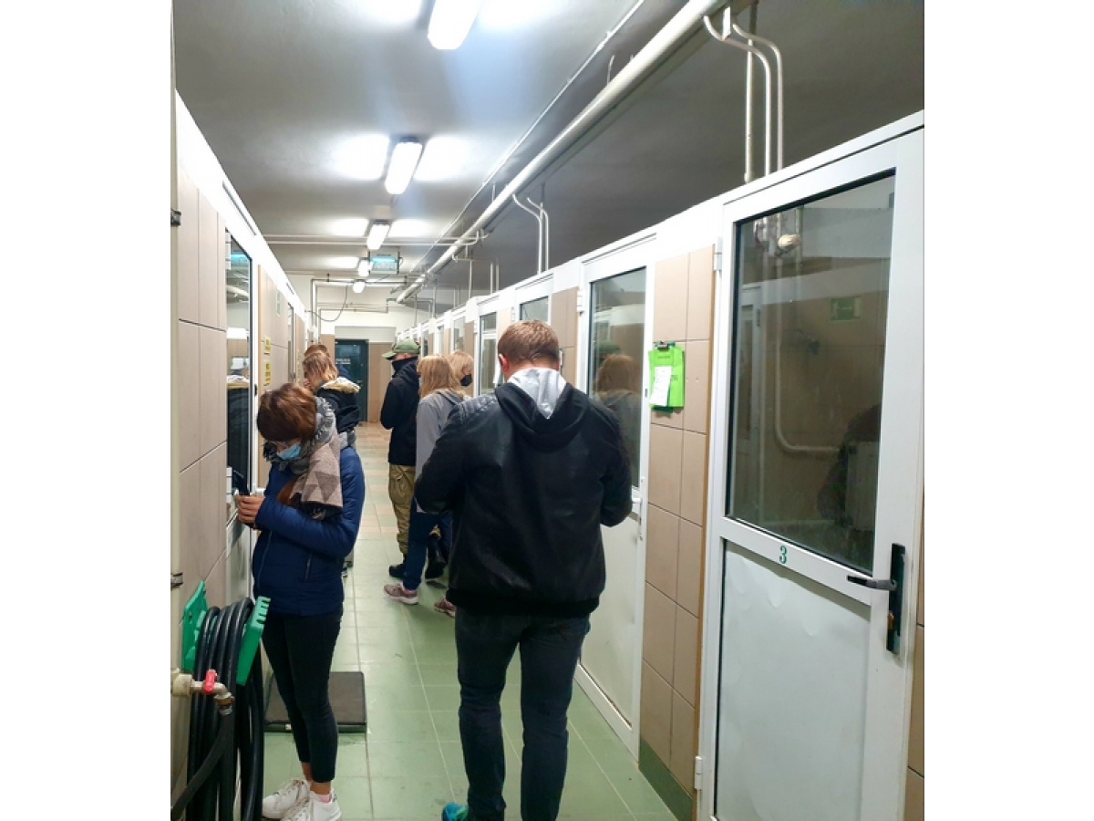 SPACER DO SCHRONISKA DLA ZWIERZĄT