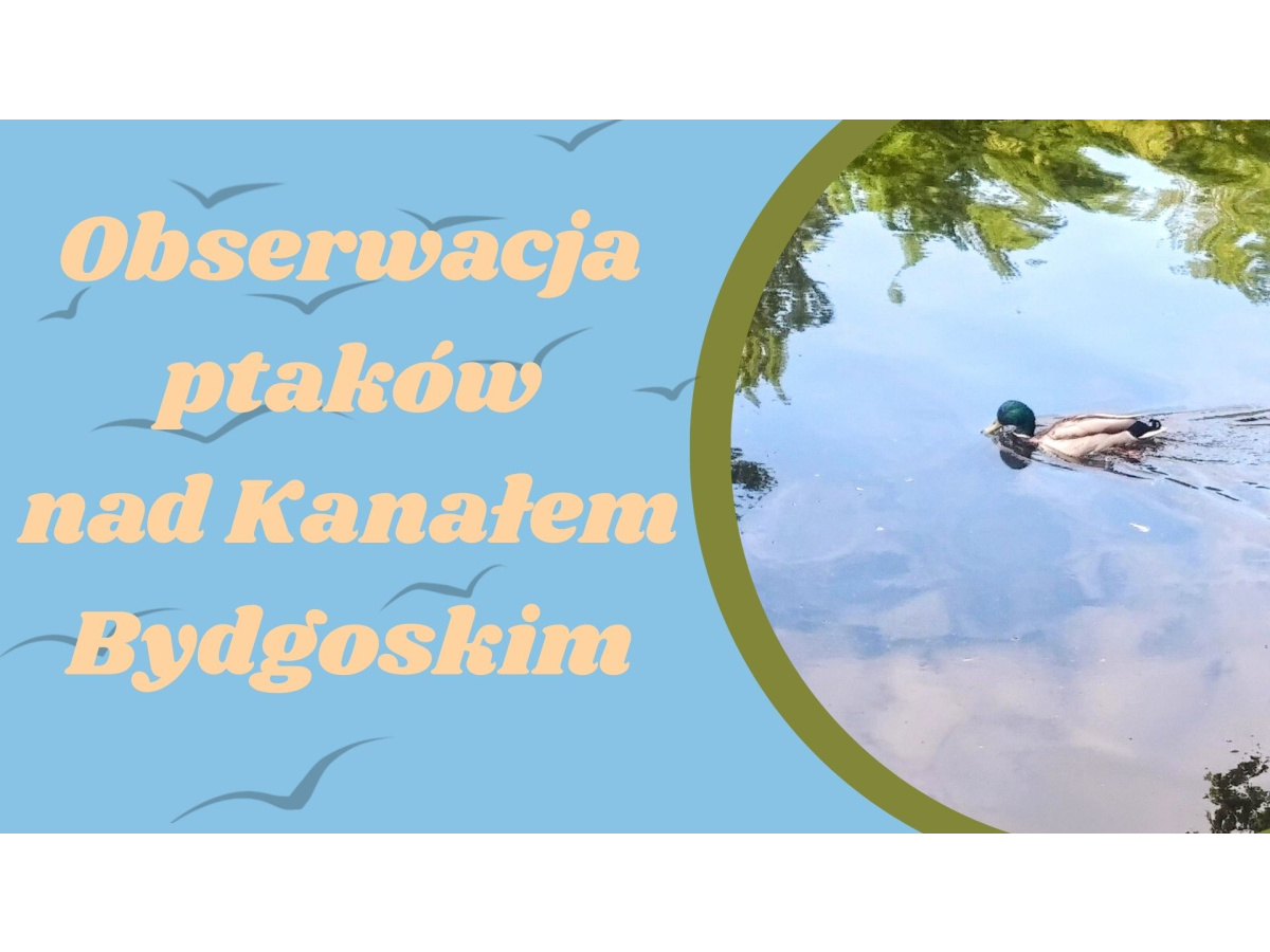 PTAKI DZIKO ŻYJĄCE
