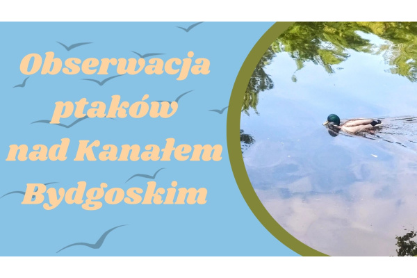 PTAKI DZIKO ŻYJĄCE