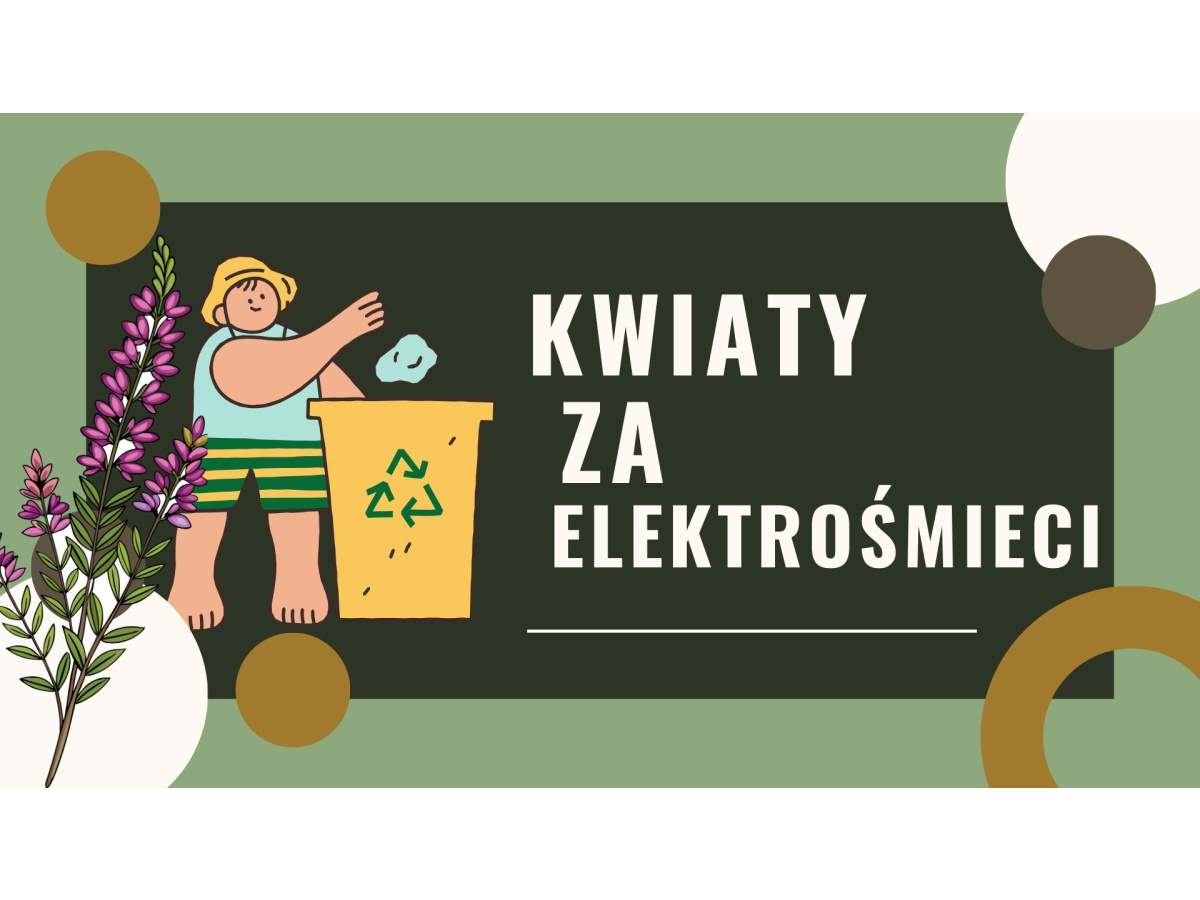 KWIATY ZA ELEKTROŚMIECI