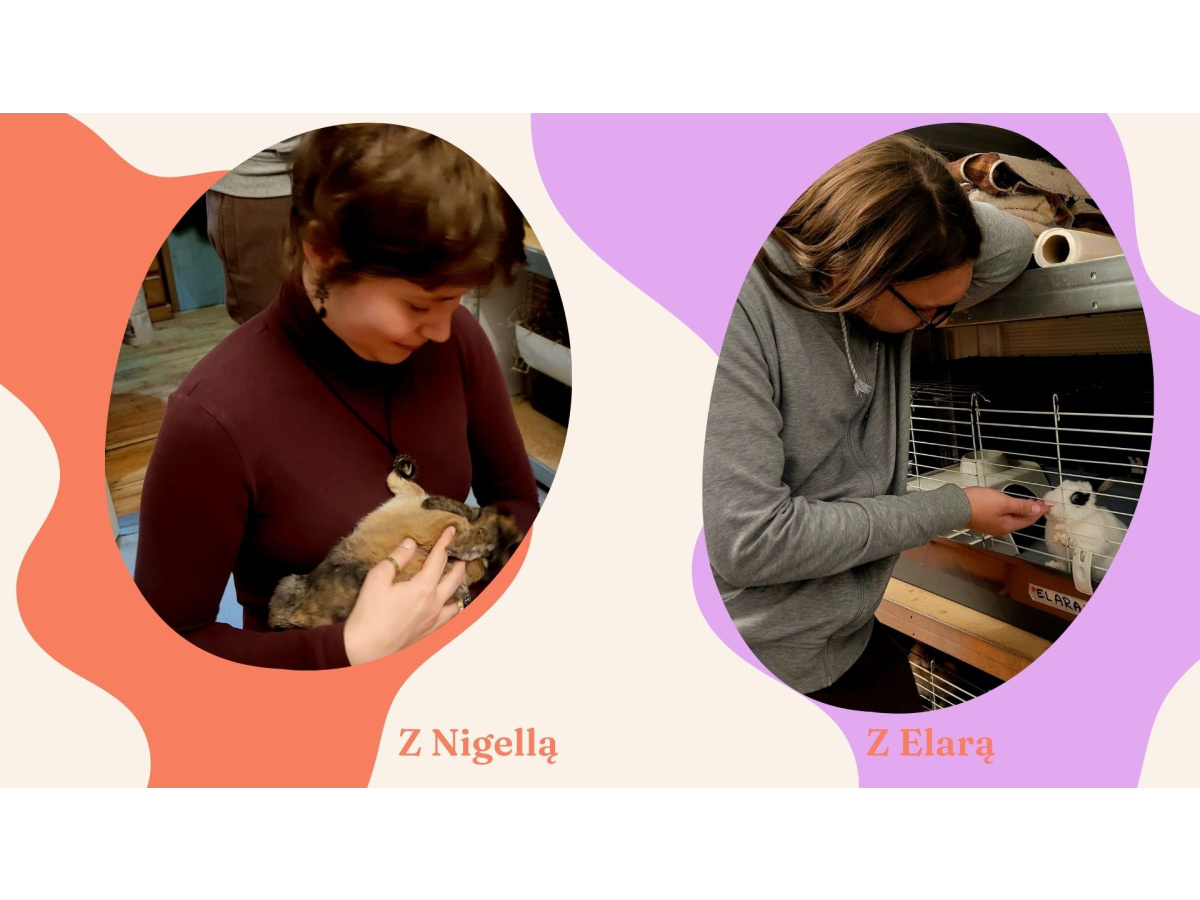 WYJŚCIE DO FUNDACJI ARBUZ