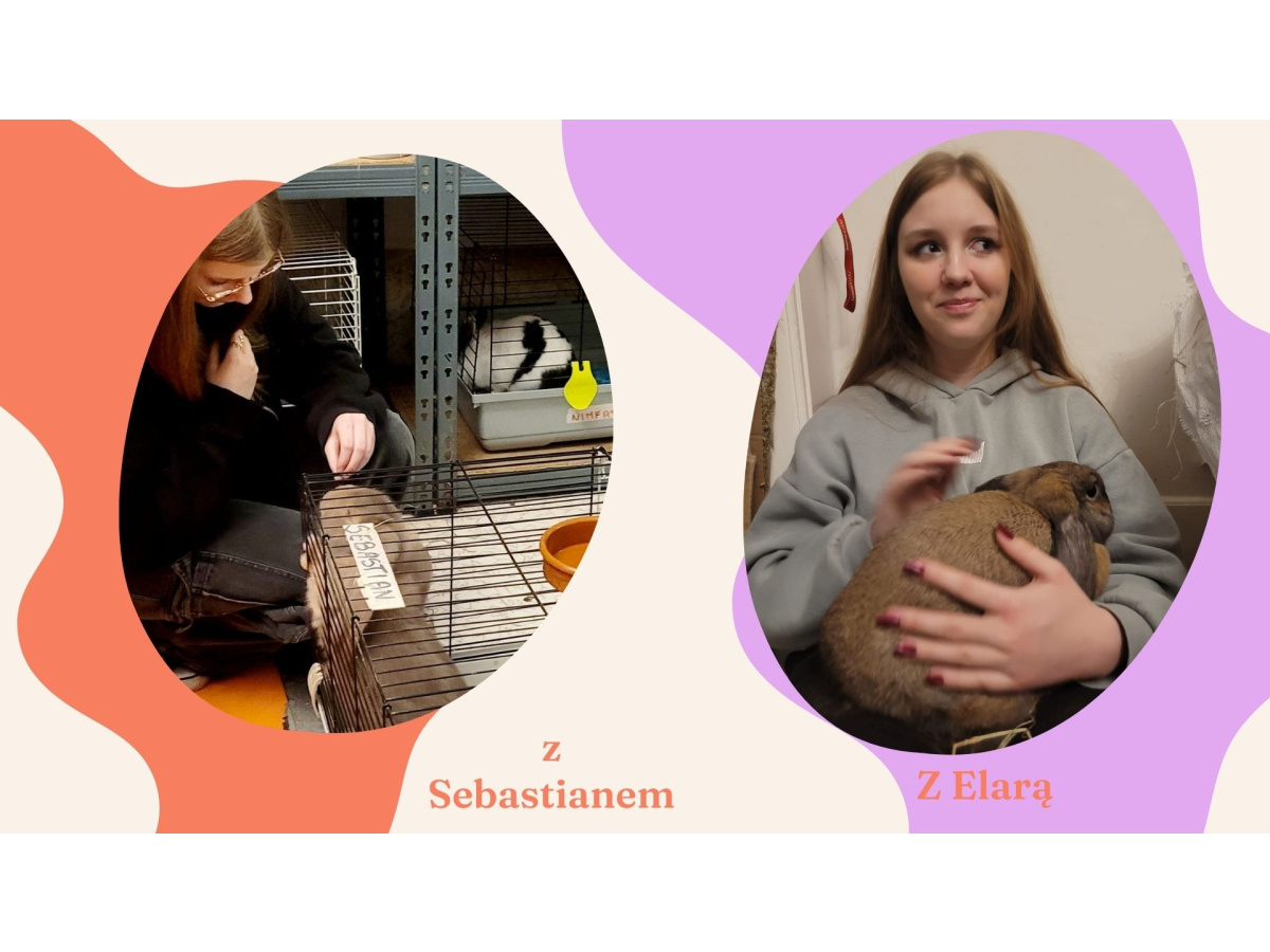 WYJŚCIE DO FUNDACJI ARBUZ