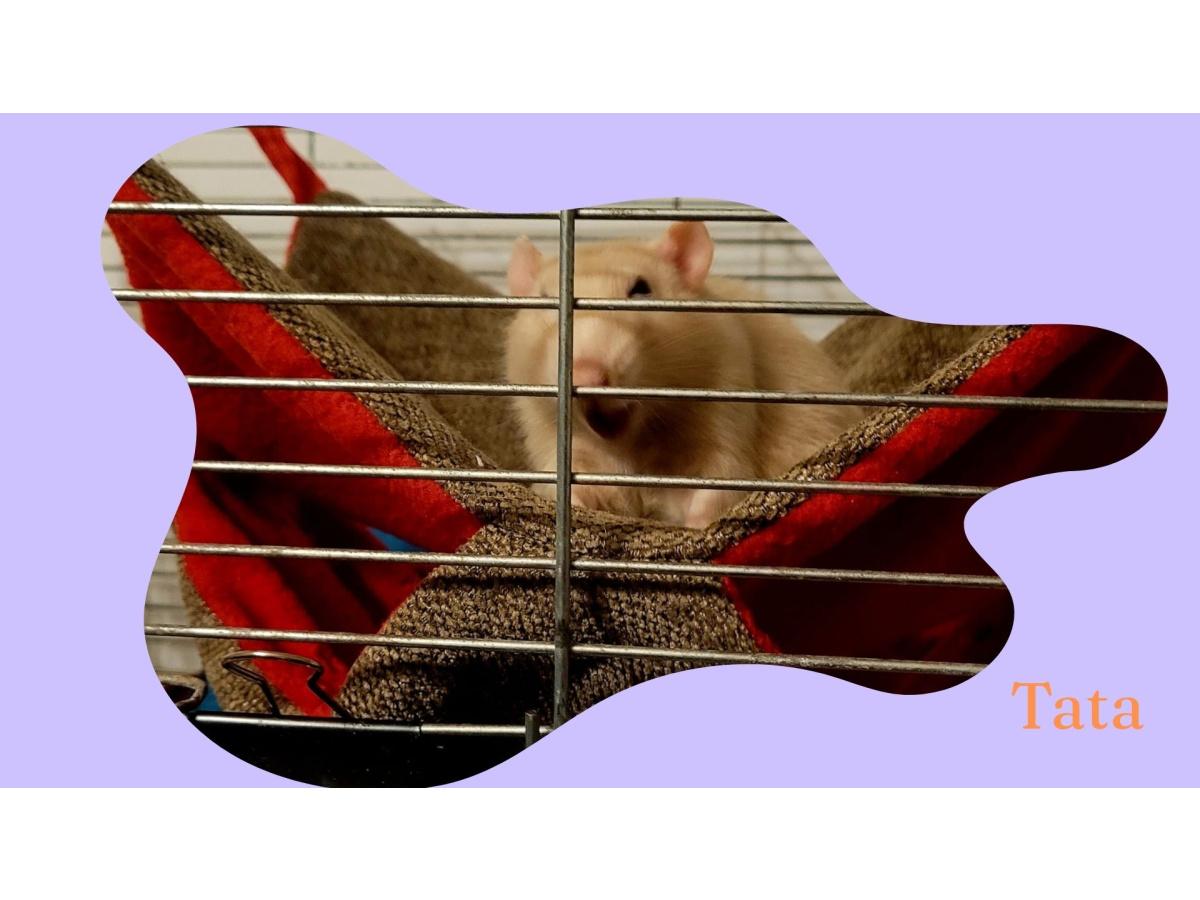 WYJŚCIE DO FUNDACJI ARBUZ