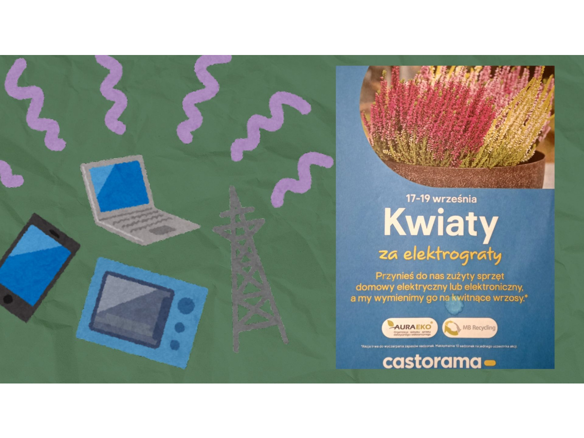 KWIATY ZA ELEKTROGRATY