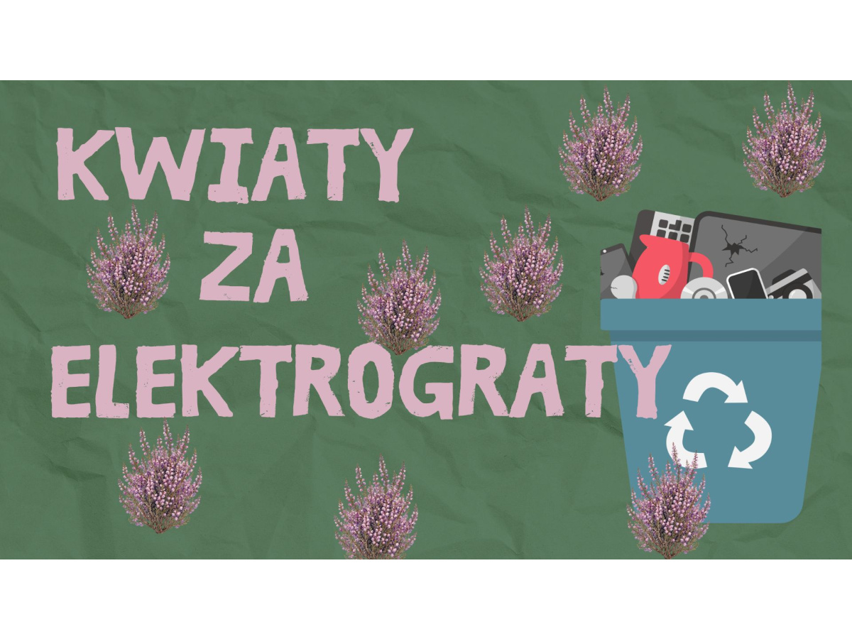 KWIATY ZA ELEKTROGRATY