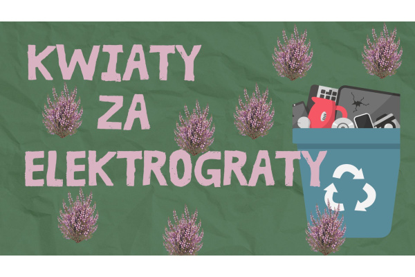 KWIATY ZA ELEKTROGRATY
